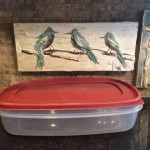 24 cup food storage container