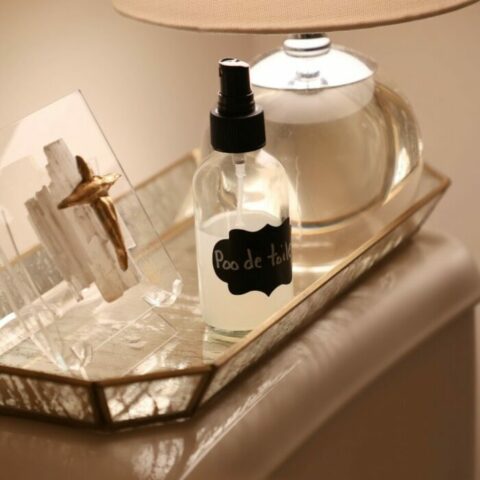 poo de toilette spray